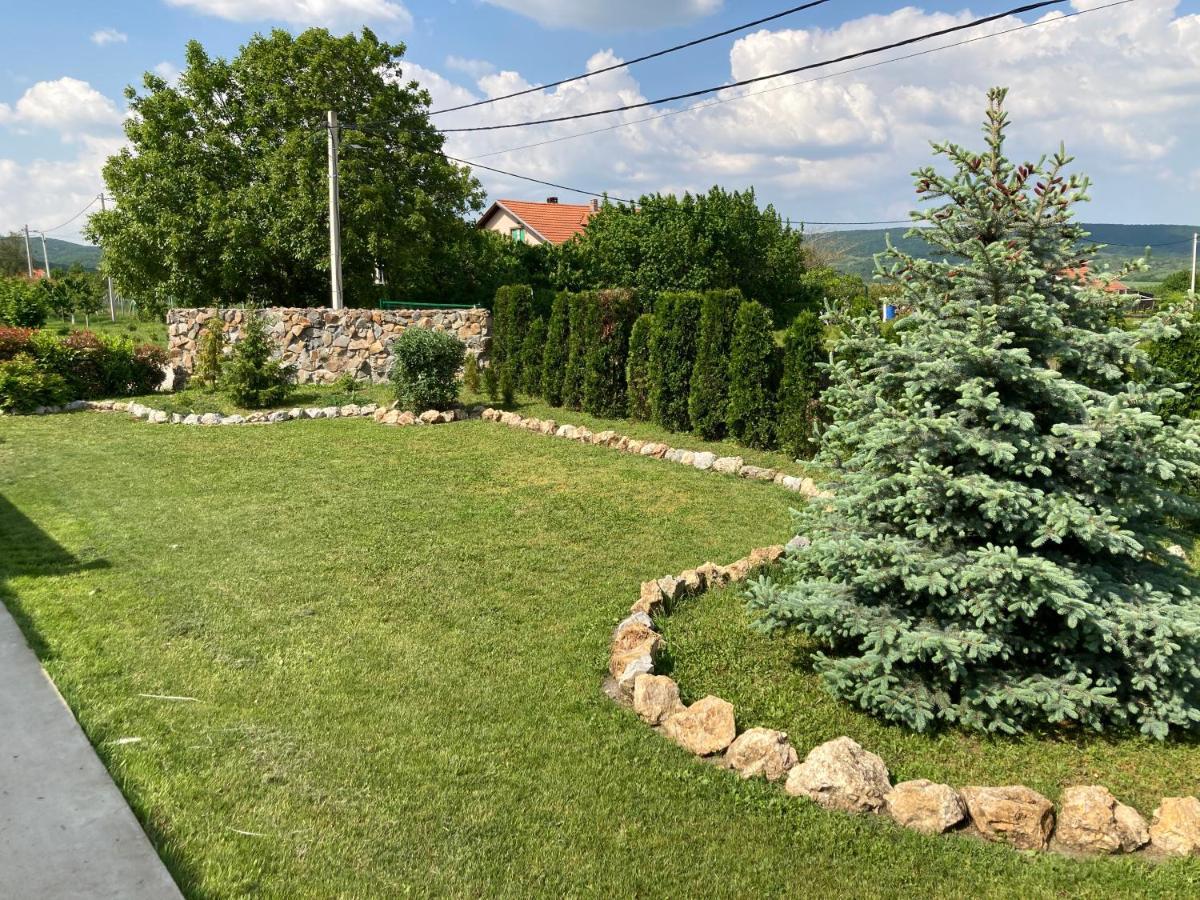 Fruska Gora Guesthouse Irig ภายนอก รูปภาพ