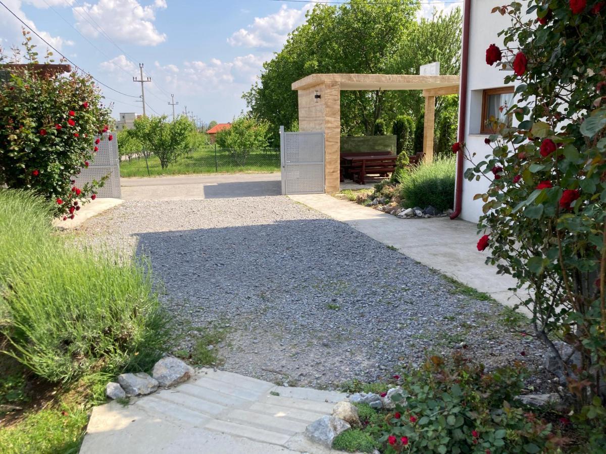 Fruska Gora Guesthouse Irig ภายนอก รูปภาพ