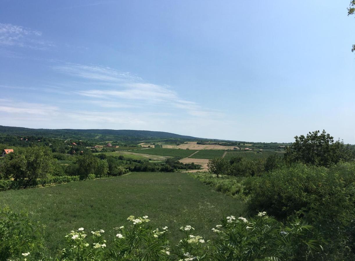 Fruska Gora Guesthouse Irig ภายนอก รูปภาพ